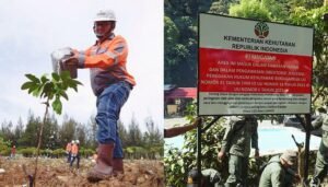 Kementerian Kehutanan Targetkan Rehabilitasi 12 Juta Hektare Hutan Hingga 2034 dengan Anggaran Rp153,78 Triliun
