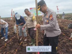 Polsek Tualang Tanam Jagung di Lahan 5 Hektare, Dukung Target Swasembada Pangan 2026