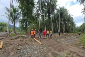 PLN Pulihkan Listrik 6.013 Pelanggan di Loloda Usai Banjir Awal 2026