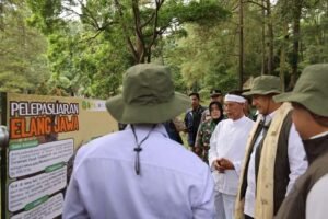 Wamenhut Tegaskan Komitmen Lindungi TNGHS, Pemkab Bogor Dorong Kolaborasi dan Hutan Kota