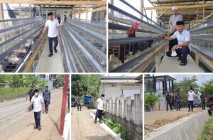 Pastikan Infrastruktur Berkualitas, Bupati Bone Apresiasi Usaha Ayam Petelur Warga Tanete Riattang Timur