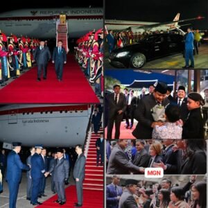 Presiden Prabowo Tiba di Seoul, Disambut Antusias Diaspora Indonesia