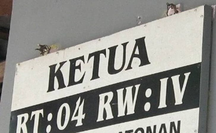 Pengakuan Menggemparkan di Pulau Lumu-Lumu, Dugaan ‘Pinjam Ijazah’ untuk Kursi Ketua RW, Nama Walikota Makassar “Appi” Terseret