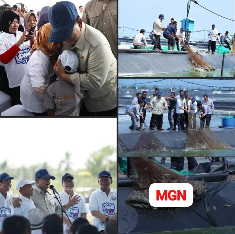 Presiden Prabowo Saksikan Panen Raya Udang di Kebumen: Dorong Proyek Produktif dan Hentikan Kebocoran Kekayaan Bangsa